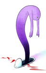 サスガミ.jpg