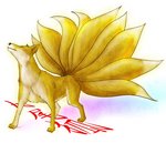 九尾の狐.jpg
