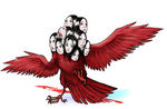 鬼車鳥.jpg